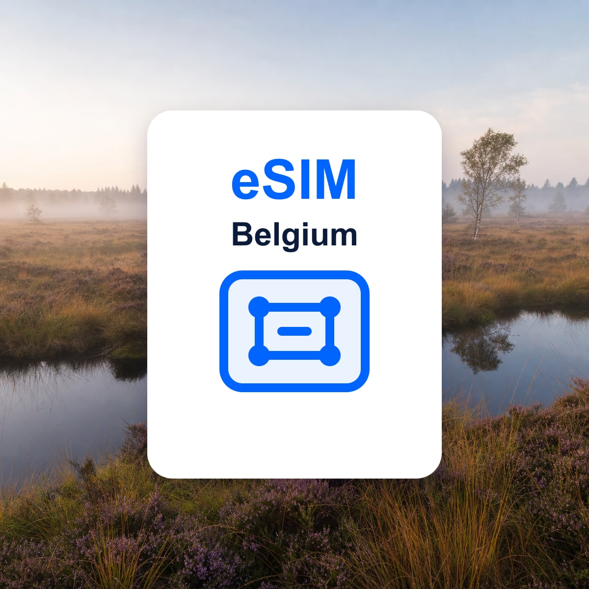 Belgium travel eSIM representative image