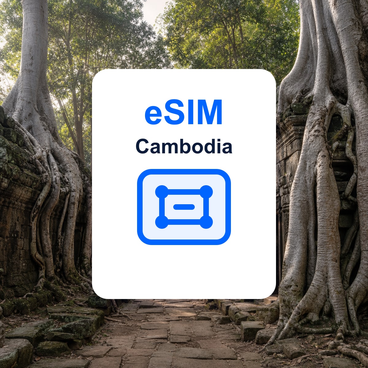 Cambodia travel eSIM representative image